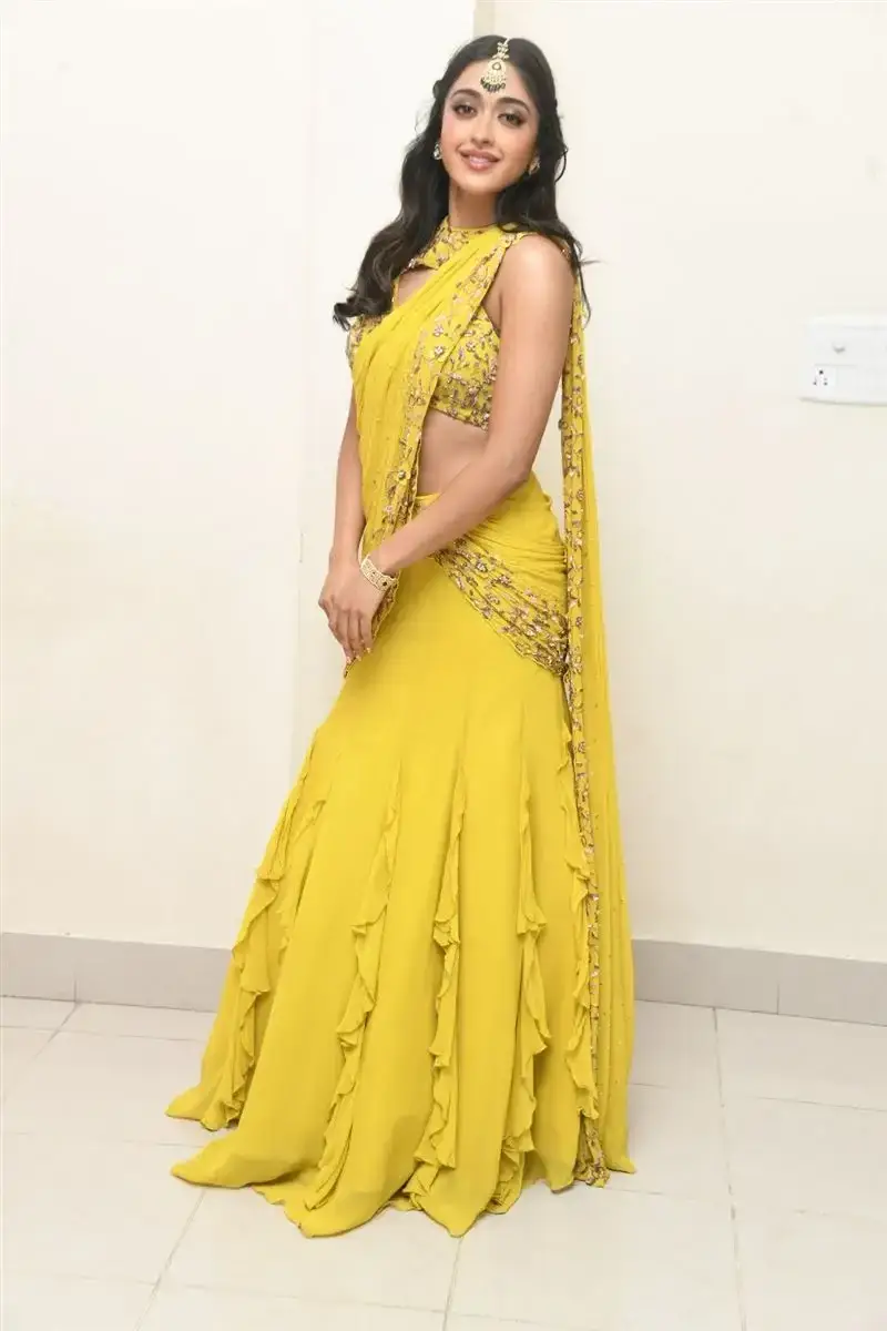 Actress Gayatri Bhardwaj Yellow Saree Tiger Nageswara Rao Movie